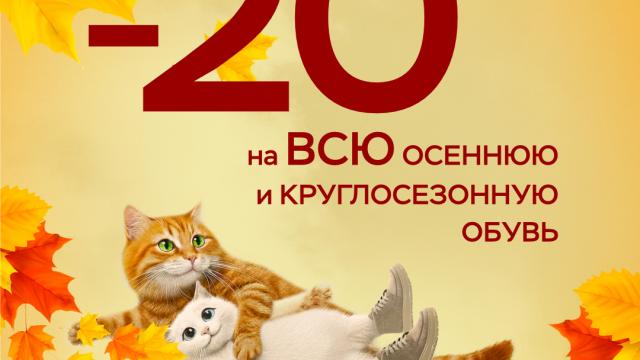 Акция «Выгодная осень» в Марко: скидки до 20%